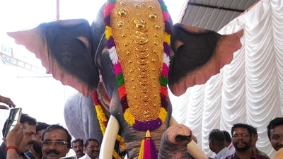 PETA India donates life-size mechanical elephant to Kerala temple. (PETA India) PETA India donates life-size mechanical elephant to Kerala temple. (PETA India)