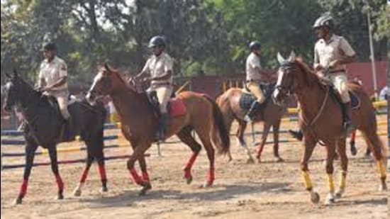 The police horse-riding school was set up in Sector 26 Police Lines in 2022. (HT File)