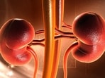 Unveiling hidden dangers of obesity's impact on kidney health 