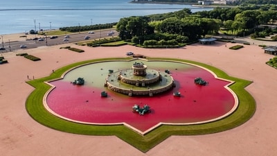 Chicago's Buckingham Fountain was vandalised by protesters overnight (WBBM Newsradio/ X, formerly Twitter) Chicago's Buckingham Fountain was vandalised by protesters overnight (WBBM Newsradio/ X, formerly Twitter)