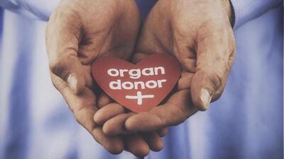 Himachal’s Tanda Medical College performed two renal transplants on June 18. (HT File)