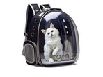 Best kitten bags for travels to keep your feline safe and comfortable.