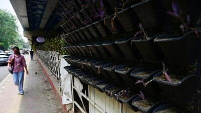 Dying and dead plants in the vertical gardens under Arica Avenue flyover in the city on Monday. (Vipin Kumar/HT) Dying and dead plants in the vertical gardens under Arica Avenue flyover in the city on Monday. (Vipin Kumar/HT)