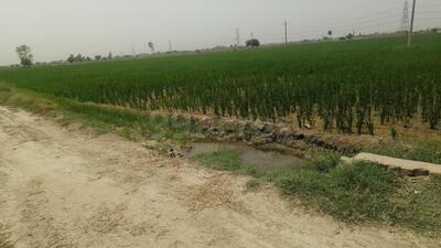 Land consolidation work in 22 UP villages completed in record 2 months: Govt (sourced) Land consolidation work in 22 UP villages completed in record 2 months: Govt (sourced)