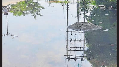 The Bathinda civic body has formed a seven-member panel to look into the complaints regarding delay in cleaning sewer drains this year. (Picture only for representational purpose) The Bathinda civic body has formed a seven-member panel to look into the complaints regarding delay in cleaning sewer drains this year. (Picture only for representational purpose)