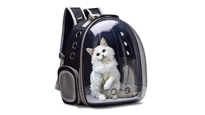 Best kitten bags for travels to keep your feline safe and comfortable. Best kitten bags for travels to keep your feline safe and comfortable.
