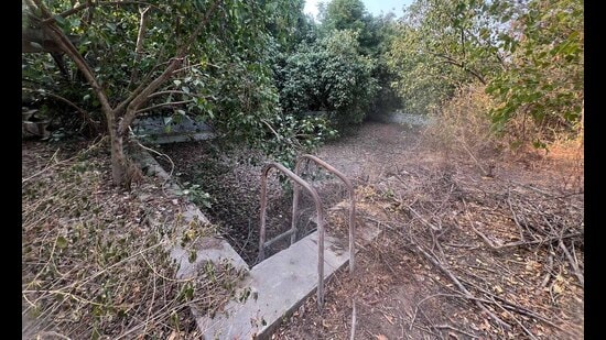 Overgrown grass and garbage can be seen at the swimming pools in government colleges. (HT Photo)