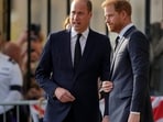 Prince William has decided to put off any reunion with Harry, even if the source claimed that King Charles wants to spend more time with him.