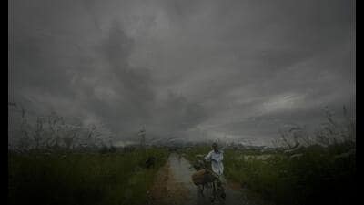 FILE - A farmer carries a sack of paddy on his bicycle during monsoon rains as clouds hover over the sky on the outskirts of Guwahati, India, June 20, 2024. (AP Photo/Anupam Nath, File) (AP) FILE - A farmer carries a sack of paddy on his bicycle during monsoon rains as clouds hover over the sky on the outskirts of Guwahati, India, June 20, 2024. (AP Photo/Anupam Nath, File) (AP)