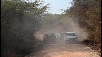 Inside the Asola Bhatti wildlife sanctuary in January. (HT Archive)