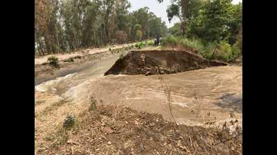 Paddy on hundreds of the acres of land was damaged in Patti sub-division on Tuesday after Upper Bari Doab Canal (UBDC) suffered a breach in the early morning near Lohuka village. (HT Photo) Paddy on hundreds of the acres of land was damaged in Patti sub-division on Tuesday after Upper Bari Doab Canal (UBDC) suffered a breach in the early morning near Lohuka village. (HT Photo)