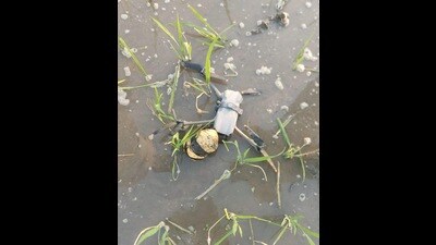 The Border Security Force (BSF) has seized a drone with 560 grams of heroin in Ferozepur on Monday evening. (HT Photo) The Border Security Force (BSF) has seized a drone with 560 grams of heroin in Ferozepur on Monday evening. (HT Photo)