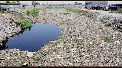 The Buddha Nullah choked with garbage in Ludhiana. (HT Photo) The Buddha Nullah choked with garbage in Ludhiana. (HT Photo)