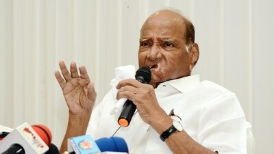 The Sharad Pawar faction of NCP won eight of the 10 seats it contested while the Congress bagged 13 of 17 it contested with Shiv Sena (UBT) getting nine of 21 seats in the LS polls. (HT PHOTO) The Sharad Pawar faction of NCP won eight of the 10 seats it contested while the Congress bagged 13 of 17 it contested with Shiv Sena (UBT) getting nine of 21 seats in the LS polls. (HT PHOTO)