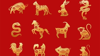 Read your weekly Chinese love horoscope based on your zodiac sign. (Freepik) Read your weekly Chinese love horoscope based on your zodiac sign. (Freepik)