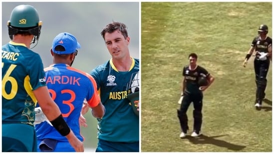 Cummins was heading back to the pavilion when the Australian pacer was called out by a fan in the stands (ANI-X)
