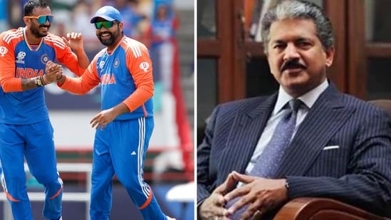 T20 World Cup 2024 India vs Australia: What did Anand Mahindra post about the match between the two cricket giants? (File Photo)