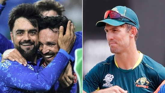 Afghanistan created history while Australia were left to lick their wounds. (AP)