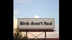 The original billboard sponsored by the Birds Aren’t Real movement that was erected in Memphis, Tennessee. (Wikimedia Commons)