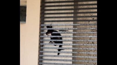 The cat was rescued after 12 hours of being stuck in the grills. The cat was rescued after 12 hours of being stuck in the grills.