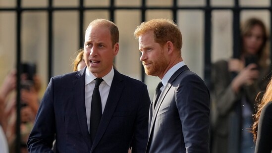 Prince William won't forgive Prince Harry because there's ‘too much bad blood': expert (AP Photo/Martin Meissner, File) (AP)