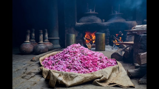 Kannauj is known as the perfume capital of India (Sourced)