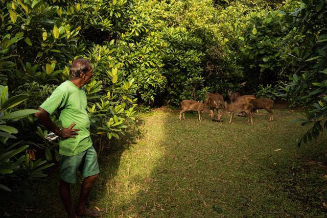 “Bawa’s tropical garden where he could relax, work, and meet friends.” (© Geoffrey Bawa and Lunuganga Trusts) “Bawa’s tropical garden where he could relax, work, and meet friends.” (© Geoffrey Bawa and Lunuganga Trusts)