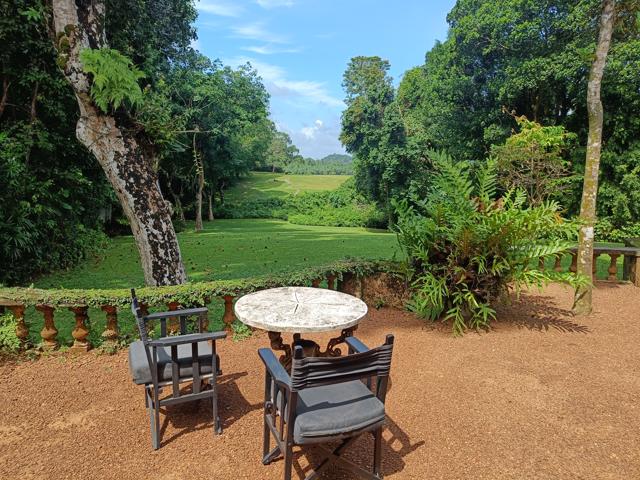 “Could this be Bawa asking us to think of the garden as architecture, his ongoing work of art?” (© Geoffrey Bawa and Lunuganga Trusts) “Could this be Bawa asking us to think of the garden as architecture, his ongoing work of art?” (© Geoffrey Bawa and Lunuganga Trusts)