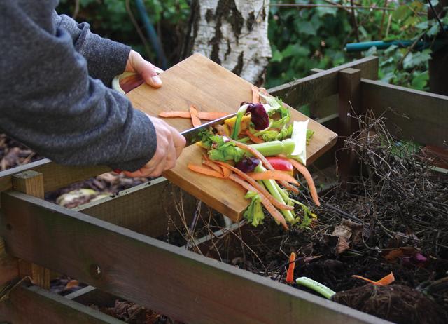 Even kitchen waste can be put to use, for making organic cleansers or as a natural fertiliser. (ADOBE STOCK) Even kitchen waste can be put to use, for making organic cleansers or as a natural fertiliser. (ADOBE STOCK)