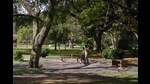 The Lalbagh Botanical Garden in Bengaluru (Hemant Mishra/ Mint/ Hindustan Times Media)