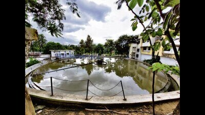 All local bodies have been issued directions by the board to set up STPs with adequate capacity to treat the sewage water being generated in their areas. (HT PHOTO) All local bodies have been issued directions by the board to set up STPs with adequate capacity to treat the sewage water being generated in their areas. (HT PHOTO)