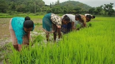 Agriculture