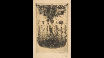 An illustration in the French poet Charles Baudelaire’s Les Fleurs du Mal (The Flowers of Evil) features a decaying skeleton, by artist Félix Bracquemond. The collection includes the poem Une Charogne (A Carcass; 1857). (Courtesy The Elisha Whittelsey Collection / The Elisha Whittelsey Fund, 1962 / The Metropolitan Museum of Art) An illustration in the French poet Charles Baudelaire’s Les Fleurs du Mal (The Flowers of Evil) features a decaying skeleton, by artist Félix Bracquemond. The collection includes the poem Une Charogne (A Carcass; 1857). (Courtesy The Elisha Whittelsey Collection / The Elisha Whittelsey Fund, 1962 / The Metropolitan Museum of Art)