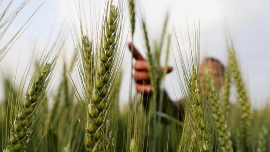 India's growth is expected to be supported by a good Rabi harvest and normal monsoons (Reuters)