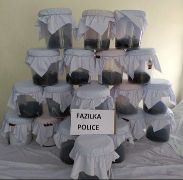 The opium seized during the operation by Fazilka police. (HT Photo) The opium seized during the operation by Fazilka police. (HT Photo)