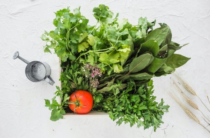 Leafy Green Vegetables (Freepik)