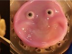 A group of Japanese researchers have created a humanoid robot with 'living' skin A group of Japanese researchers have created a humanoid robot with 'living' skin