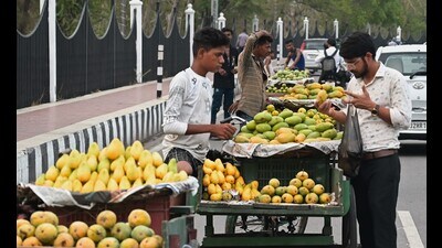 While Dasheri may soon vanish from the market, it will be replaced by late varieties of mangoes. (Mushtaq) While Dasheri may soon vanish from the market, it will be replaced by late varieties of mangoes. (Mushtaq)