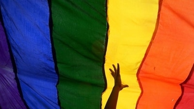 Eight years of legal battle ended with cries of joy and disbelief among gay activists and their allies across the country. (Dibyangshu Sarkar / AFP File) Eight years of legal battle ended with cries of joy and disbelief among gay activists and their allies across the country. (Dibyangshu Sarkar / AFP File)
