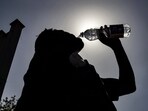 India saw 536 heatwave days this summer, warmest June for northwestern region since 1901: IMD India saw 536 heatwave days this summer, warmest June for northwestern region since 1901: IMD