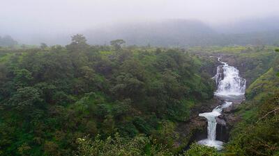 Earlier on Saturday, the department had banned the entry of tourists to the Tamhini sanctuary till September 30. (Shutterstock) Earlier on Saturday, the department had banned the entry of tourists to the Tamhini sanctuary till September 30. (Shutterstock)