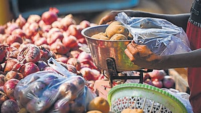 The ban on plastic is largely being flouted in the informal sector, especially by vegetable, fruit and street-food vendors in Delhi. (Sanchit Khanna/HT Photo) The ban on plastic is largely being flouted in the informal sector, especially by vegetable, fruit and street-food vendors in Delhi. (Sanchit Khanna/HT Photo)