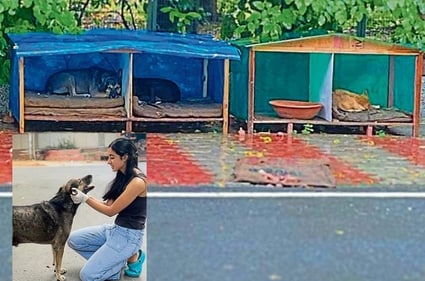 Jigyasa Dhingra, founder of the NGO PawsInPaws, has collaborated with local carpenters to construct wooden doghouses for the strays. Jigyasa Dhingra, founder of the NGO PawsInPaws, has collaborated with local carpenters to construct wooden doghouses for the strays.