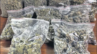 DRI seizes hydroponic weed worth  ₹5 cr