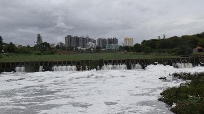 A case was registered with the NGT in 2020 regarding environmental violations, land use conversions, and the responsibility for environmental damage. (HT FILE PHOTO)