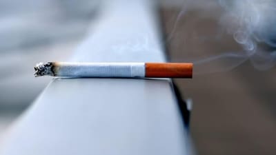 Following the report, shares of ITC, Godfrey Phillips, VST Industries, NTC Industries and Golden Tobacco fell by between 1-3 per cent. Following the report, shares of ITC, Godfrey Phillips, VST Industries, NTC Industries and Golden Tobacco fell by between 1-3 per cent.