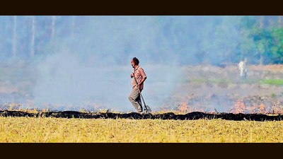 Challenges to end stubble burning persist, such as timely access to crop residue management machines, lack of proper training to use them and misperceptions over reduced yields and pest attacks on wheat sown using them, say experts. (Gurpreet Singh/HT) Challenges to end stubble burning persist, such as timely access to crop residue management machines, lack of proper training to use them and misperceptions over reduced yields and pest attacks on wheat sown using them, say experts. (Gurpreet Singh/HT)