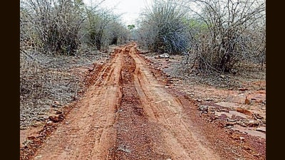 Dadri Khurd in Marihan Range of Mirzapur Forest Division was to be notified a forest in 1952, but wasn’t, and it now risks being developed under the terms of a new law passed last year. (HT) Dadri Khurd in Marihan Range of Mirzapur Forest Division was to be notified a forest in 1952, but wasn’t, and it now risks being developed under the terms of a new law passed last year. (HT)