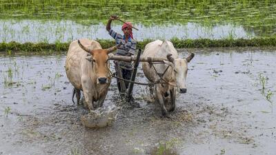 The monsoon normally covers the entire country on July 8. (PTI) The monsoon normally covers the entire country on July 8. (PTI)