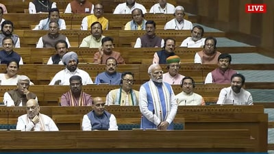 Prime Minister Narendra Modi replies to Motion of Thanks on President's address.